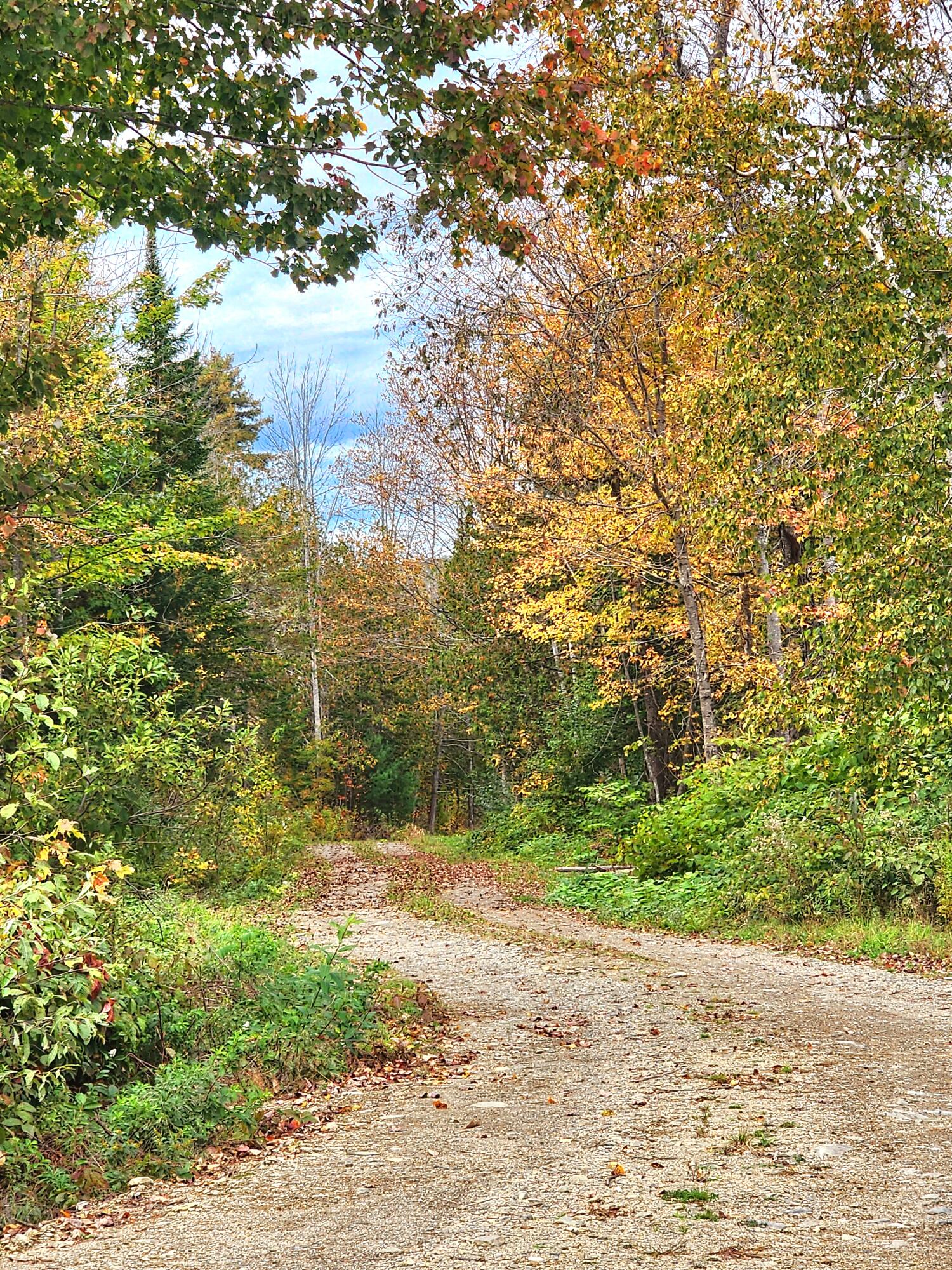 1397 Kennebec Road Hampden, ME 04444 - Photo 5 of 9 20231014_154944