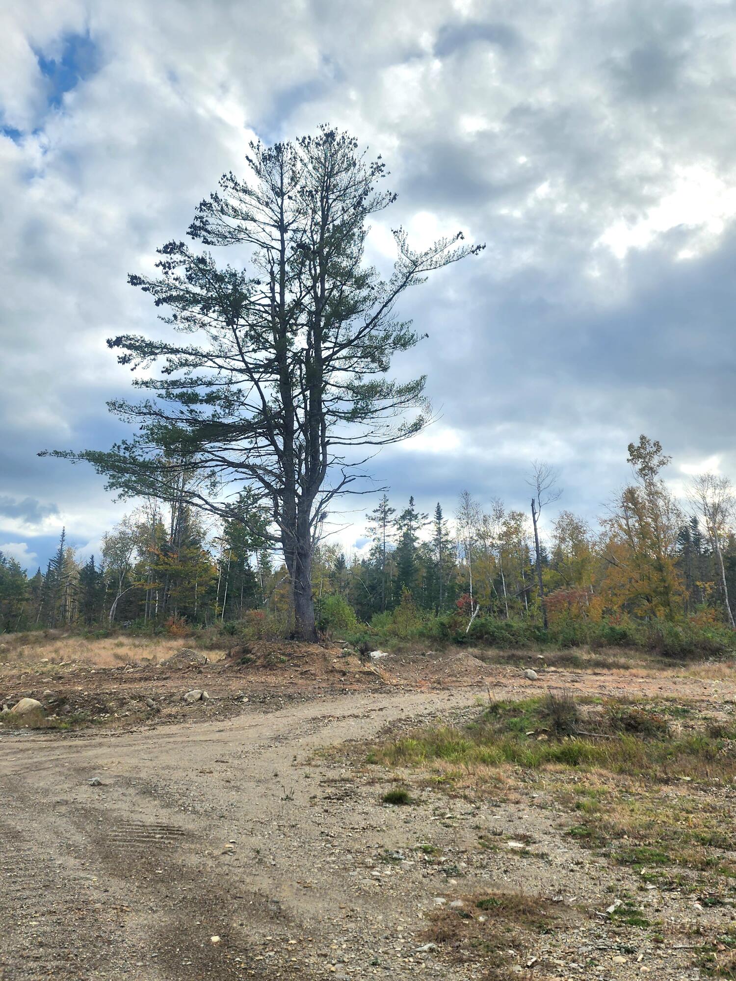 1397 Kennebec Road Hampden, ME 04444 - Photo 6 of 9 20231014_154924