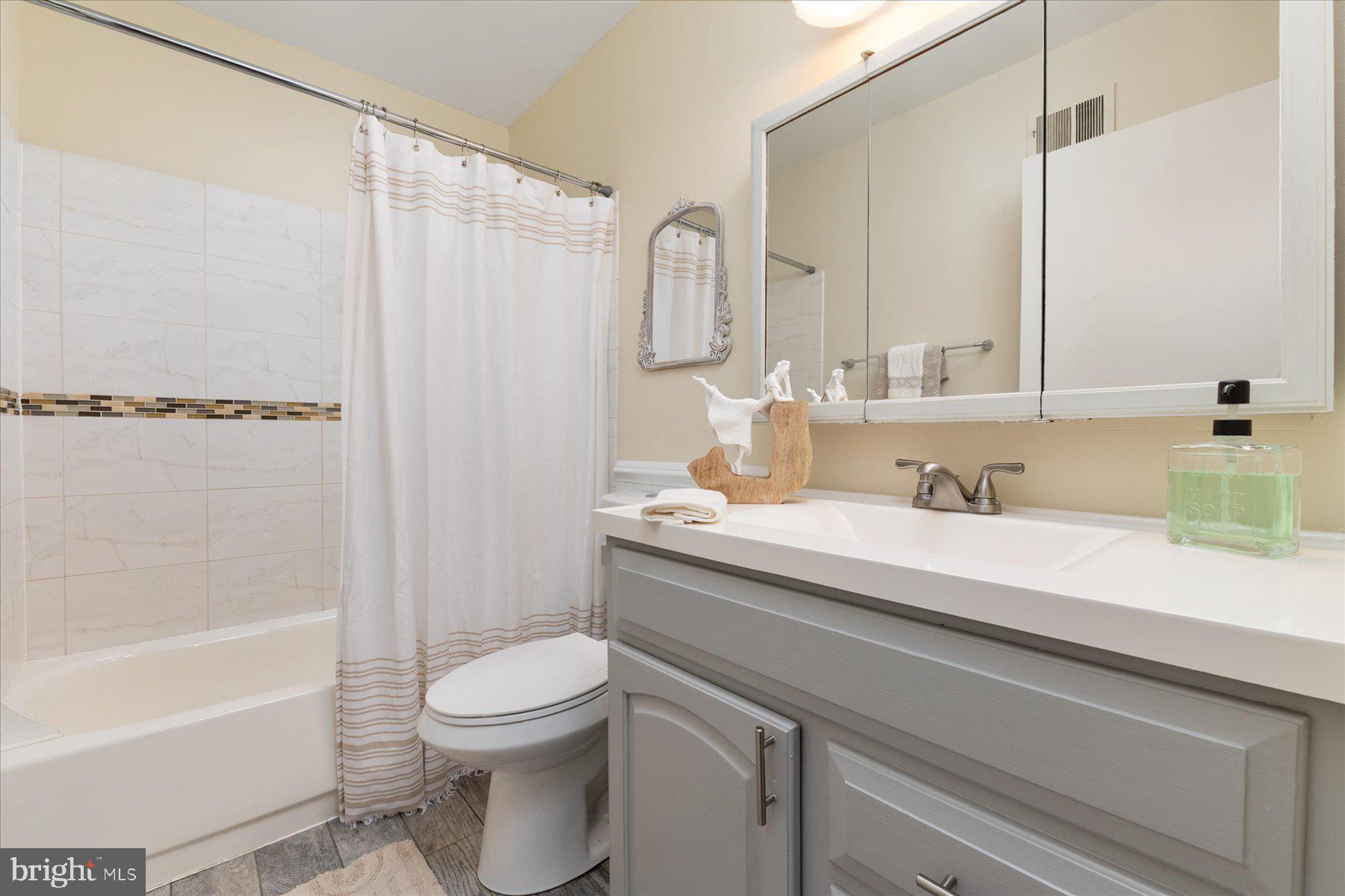 1914 Ardenwood Terrace Crofton, MD 21114 - Photo 19 of 34 a bathroom with a sink a toilet and a bathtub