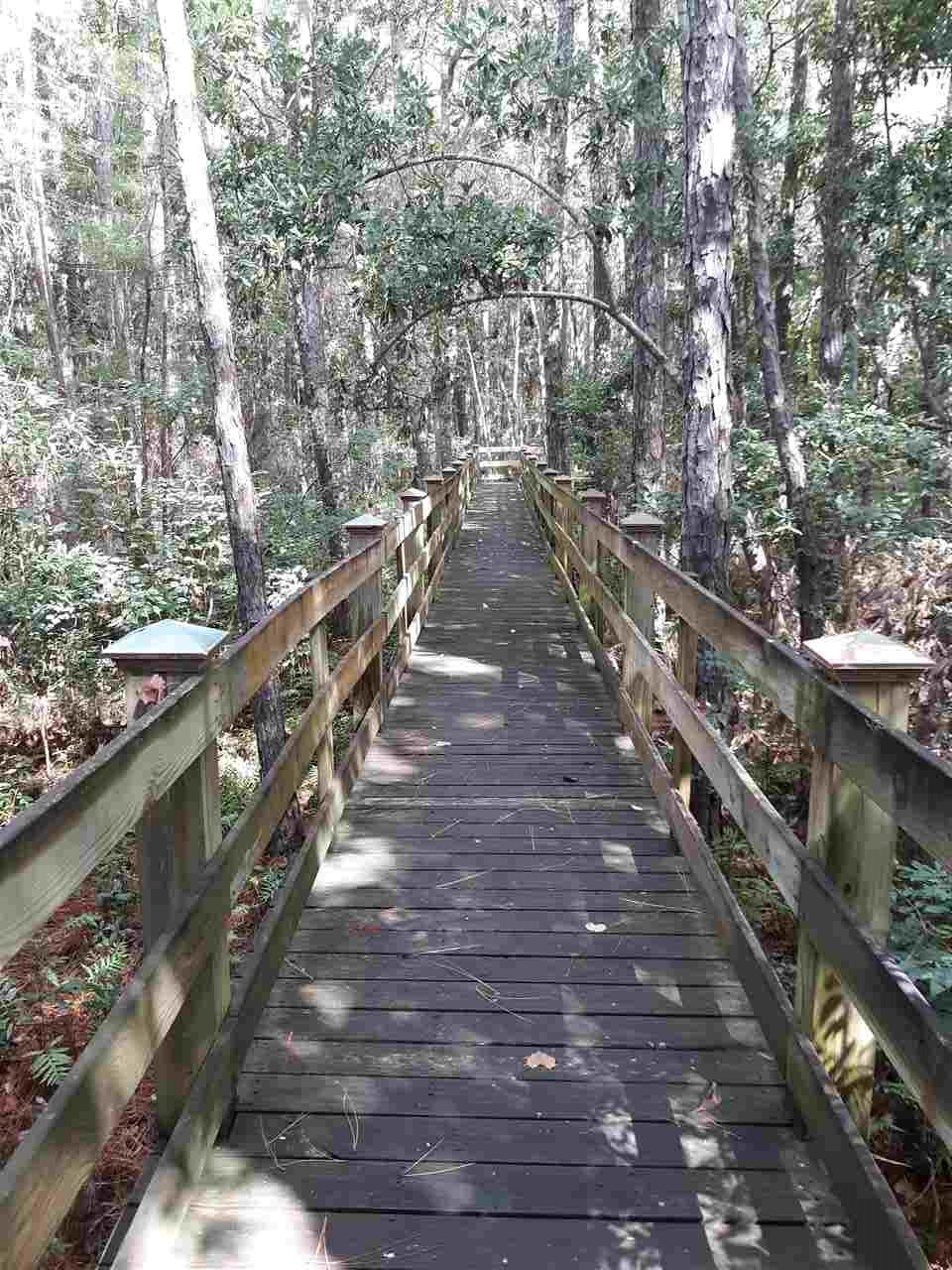 430 West Fort Morgan Road, Unit 1803 Gulf Shores, AL 36542 - Photo 19 of 25