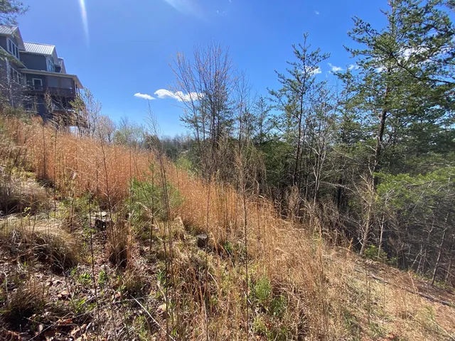 $50,000 | Lot 31 Crested Eagle Lane, Murphy, NC 28906