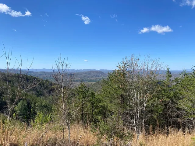 a view of a dry yard with mountains in the background
