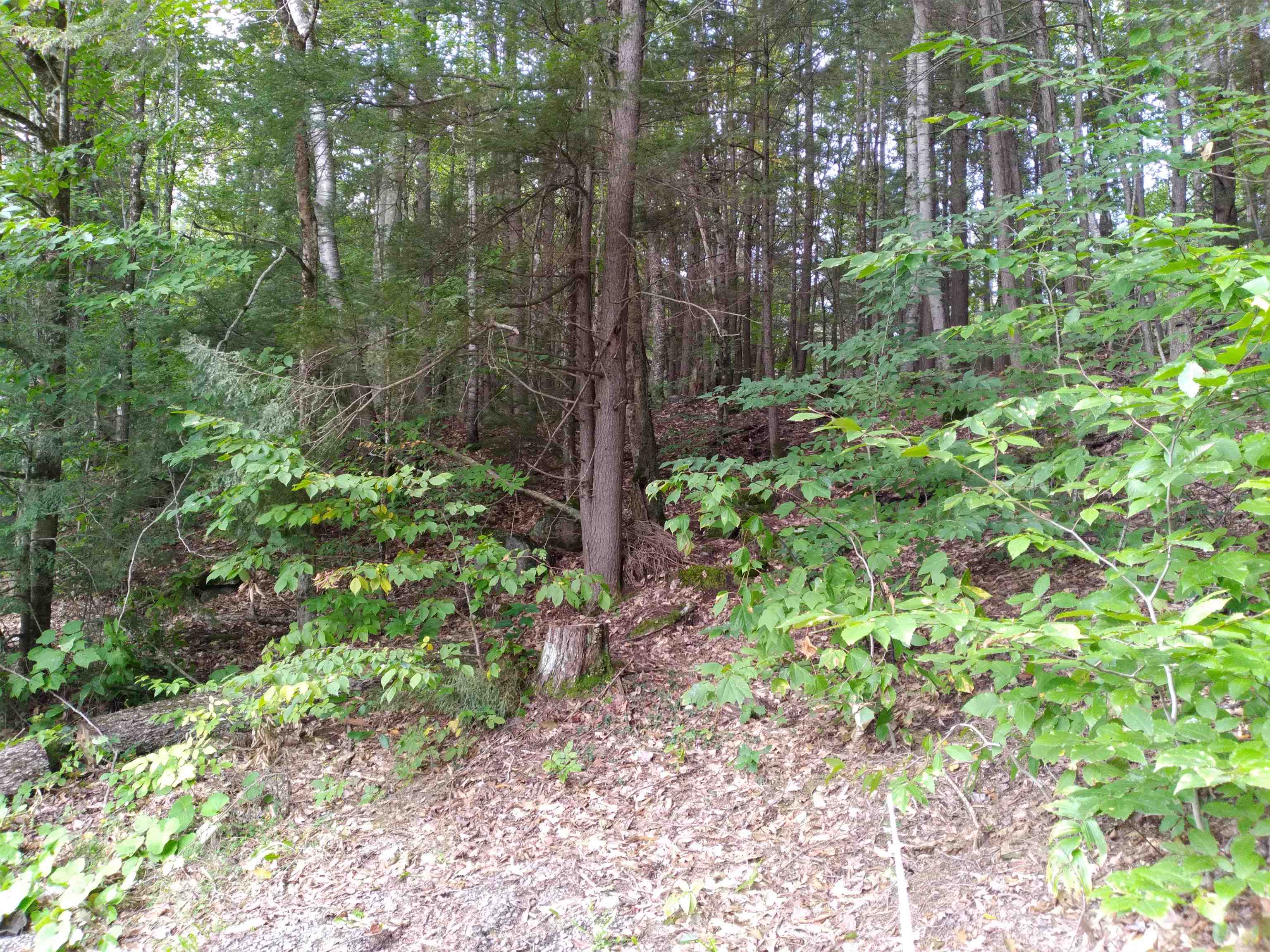 0 Sands Of Time Road, Unit 95 Canaan, NH 03741 - Photo 2 of 3