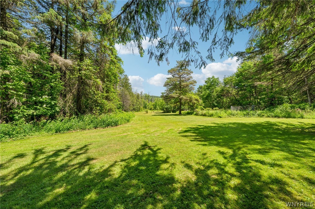 2029 Nesbitt Road Orangeville, NY 14011 - Photo 38 of 50