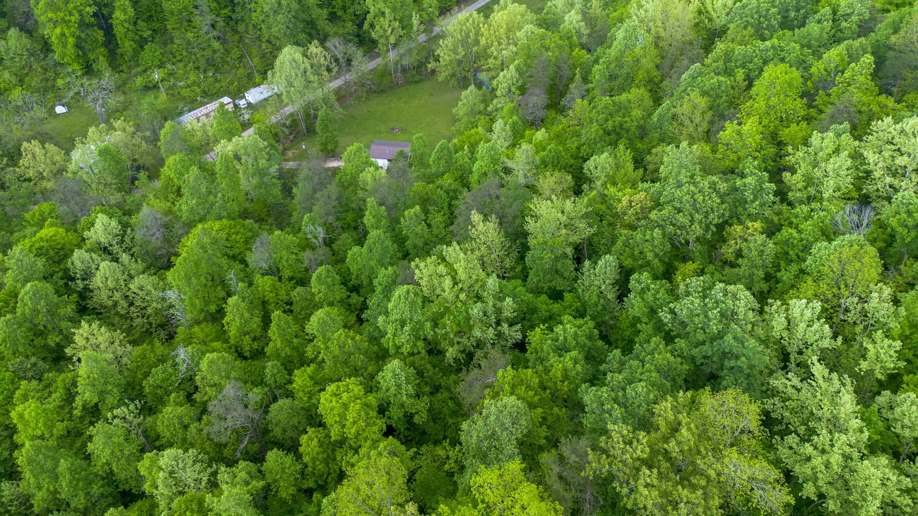 621 Nebo Road Catlettsburg, KY 41129 - Photo 10 of 15 Gallery Image 10