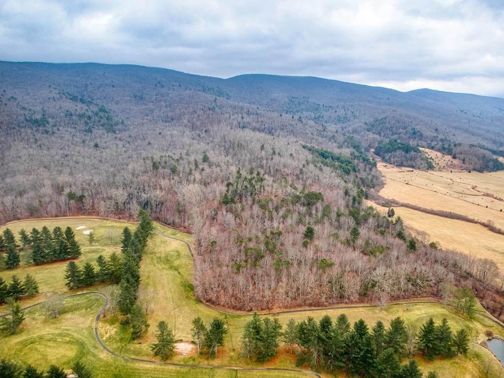 Tbd Tbd Grapefield Road Bastian, VA 24314 - Photo 25 of 39 Gallery Image 25