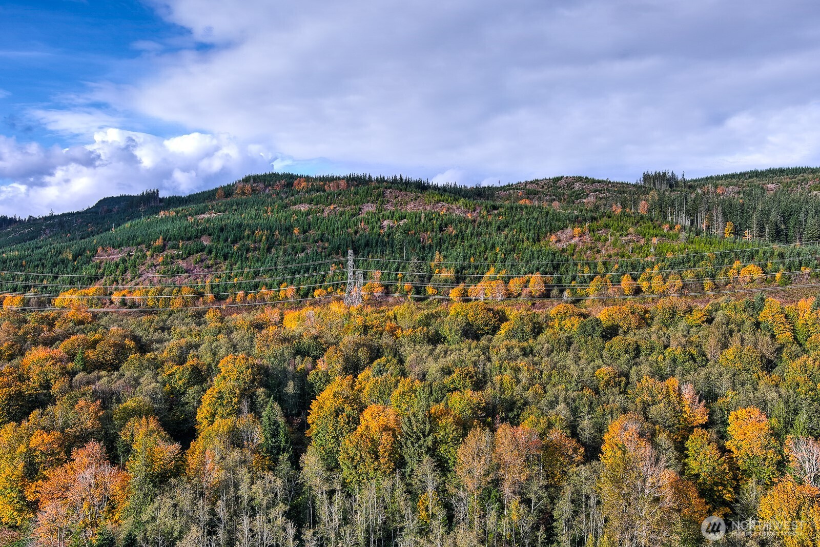 0 132nd Street Southeast Sultan, WA 98294 - Photo 11 of 12