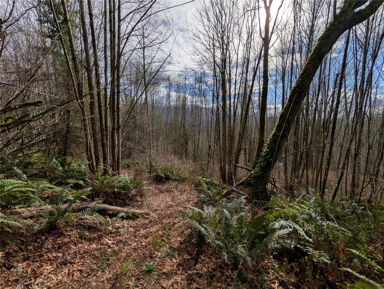 0 132nd Street Southeast Sultan, WA 98294 - Photo 5 of 12