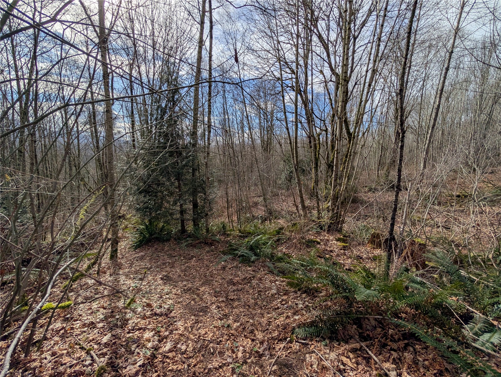 0 132nd Street Southeast Sultan, WA 98294 - Photo 6 of 12