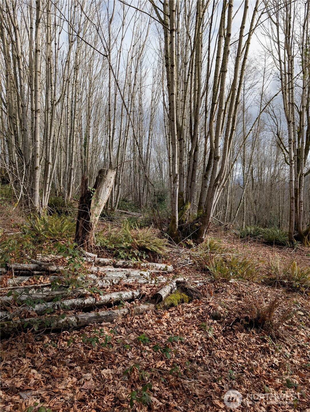 0 132nd Street Southeast Sultan, WA 98294 - Photo 7 of 12