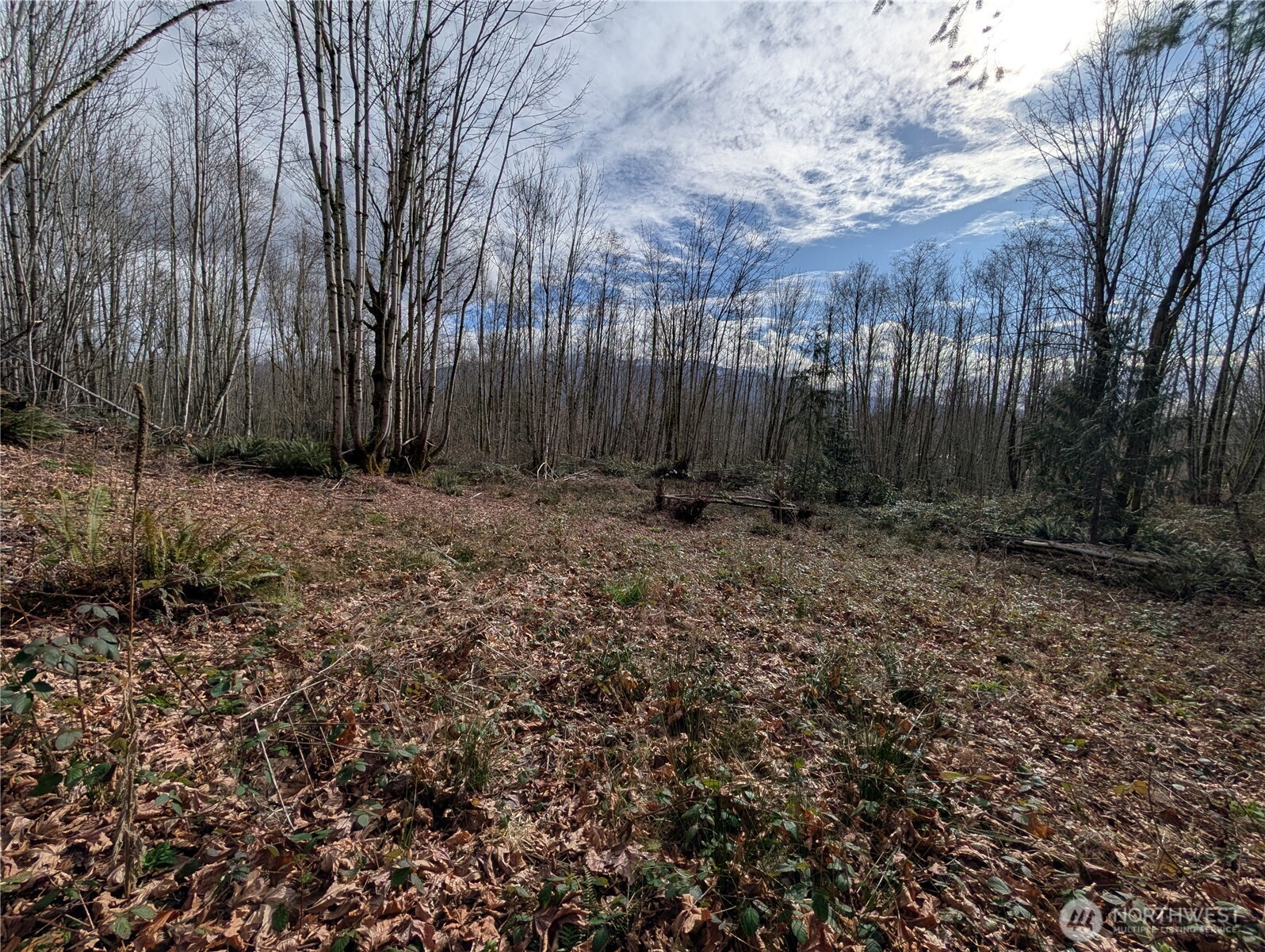 0 132nd Street Southeast Sultan, WA 98294 - Photo 8 of 12