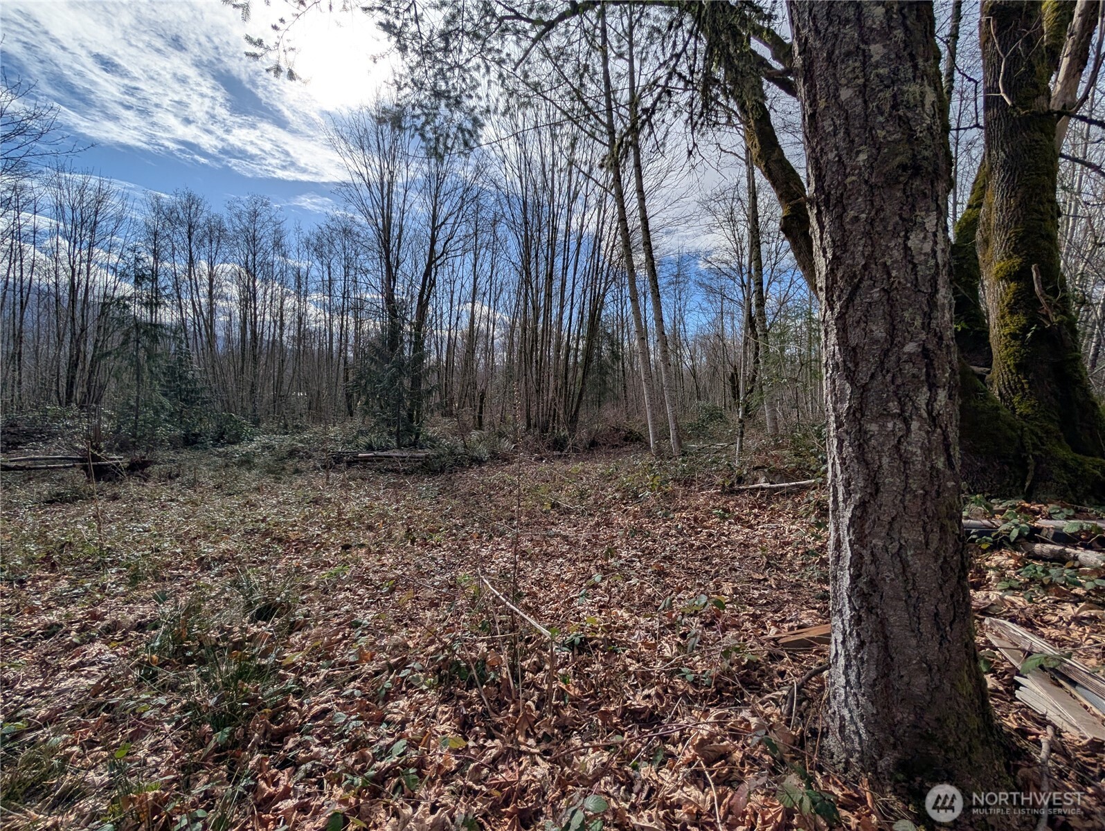 0 132nd Street Southeast Sultan, WA 98294 - Photo 9 of 12