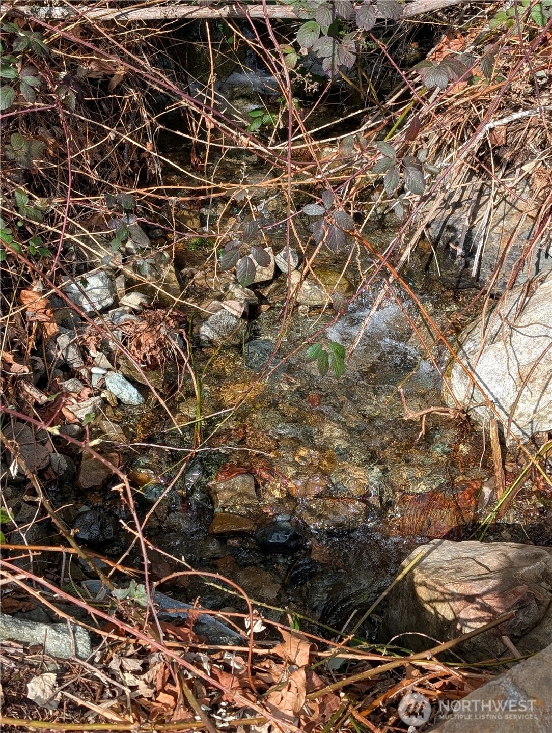 0 132nd Street Southeast Sultan, WA 98294 - Photo 10 of 12