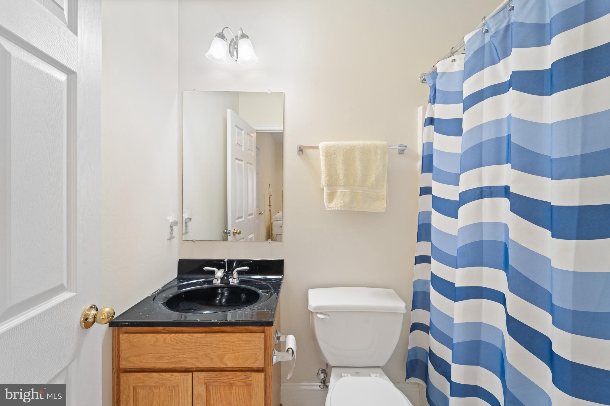 6380 Mallard Lane Lothian, MD 20711 - Photo 41 of 57 a bathroom with a sink toilet and shower