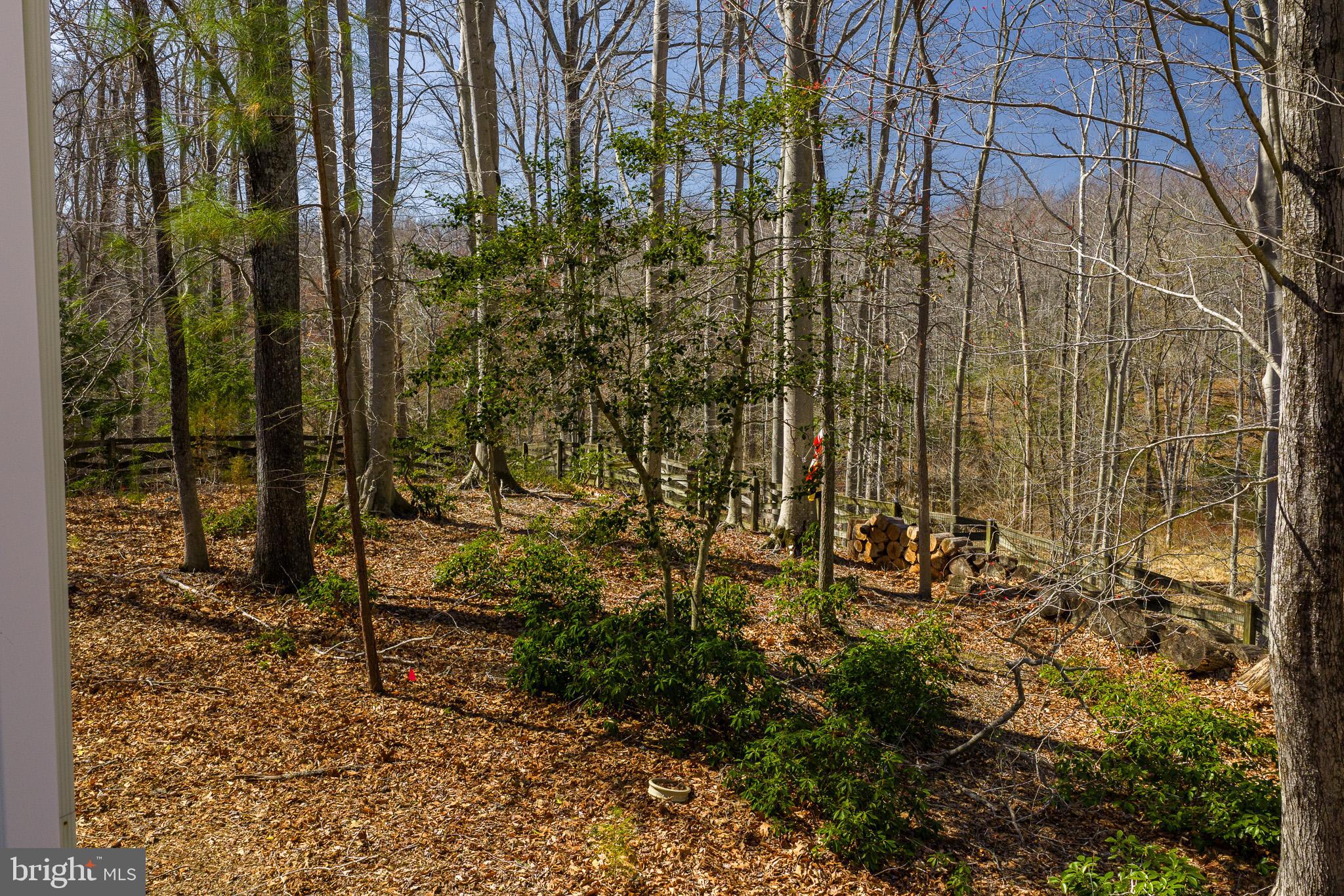 6380 Mallard Lane Lothian, MD 20711 - Photo 45 of 57 a view of a pathway of a building
