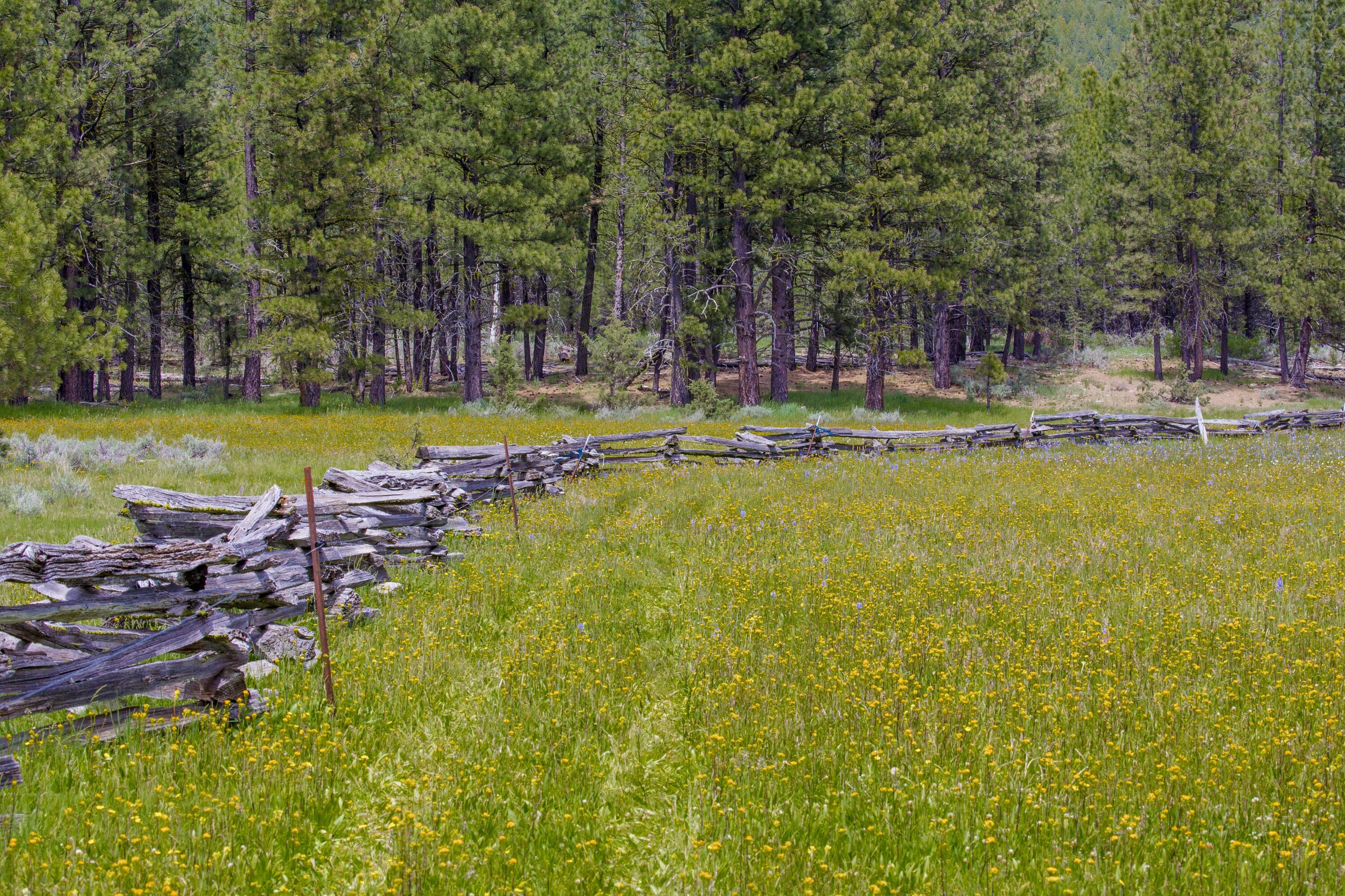 0 Fishhole Creek Road Bly, OR 97622 - Photo 15 of 38 split rail fence meadow oregon aspen rid
