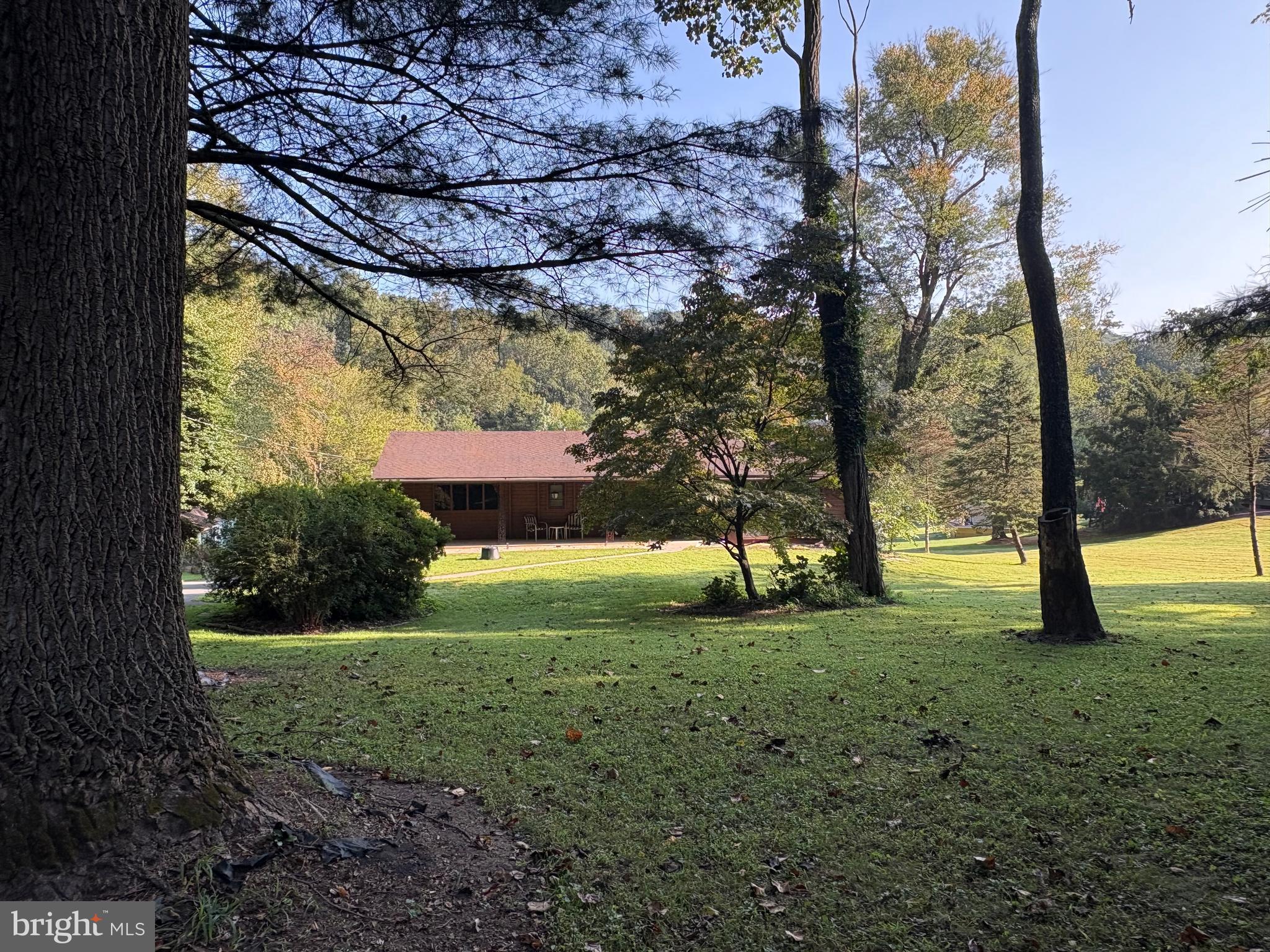 1131 Pennsy Road Pequea, PA 17565 - Photo 5 of 43 a view of a yard with a tree