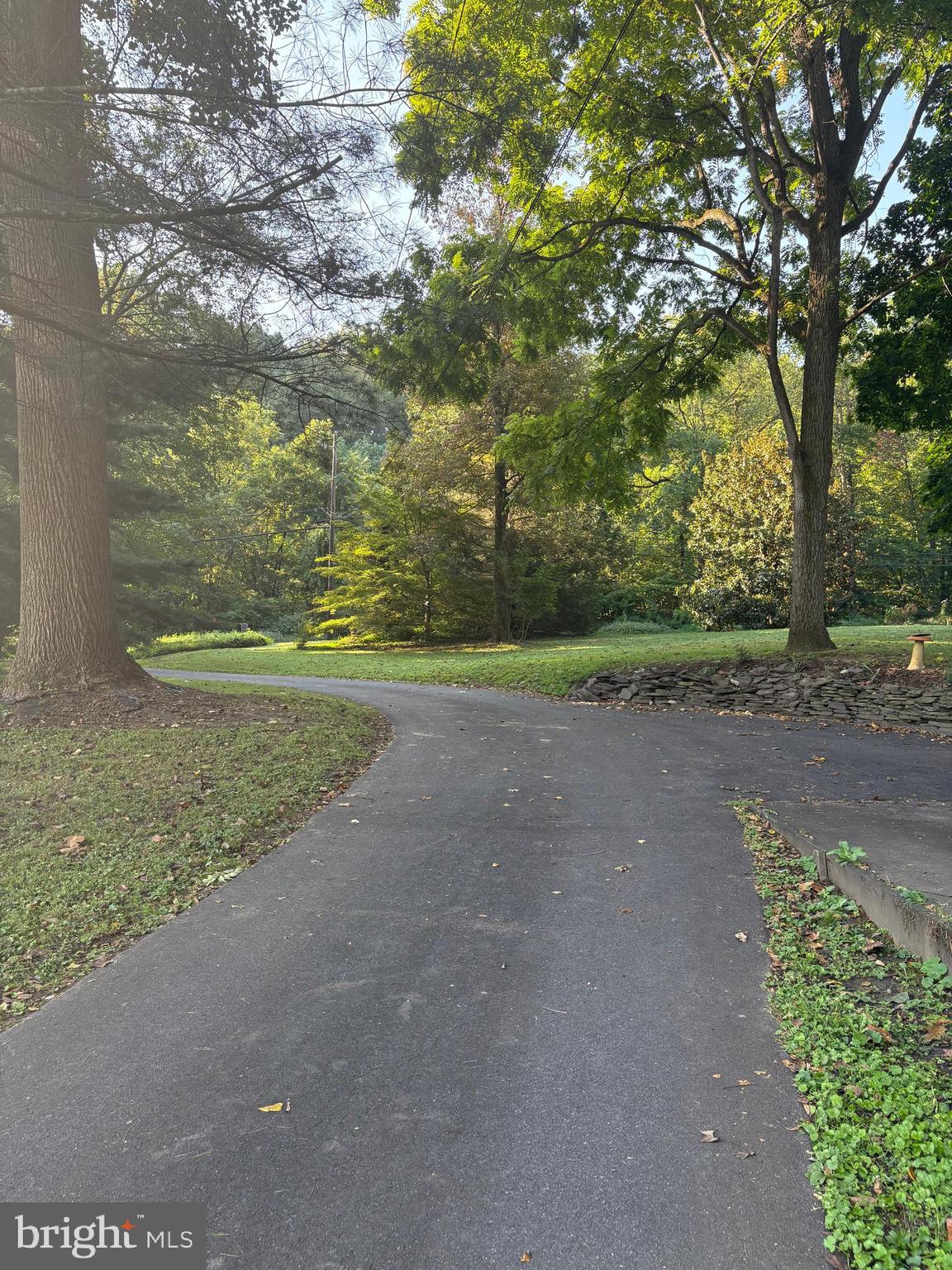 1131 Pennsy Road Pequea, PA 17565 - Photo 7 of 43 a view of a field with trees in background