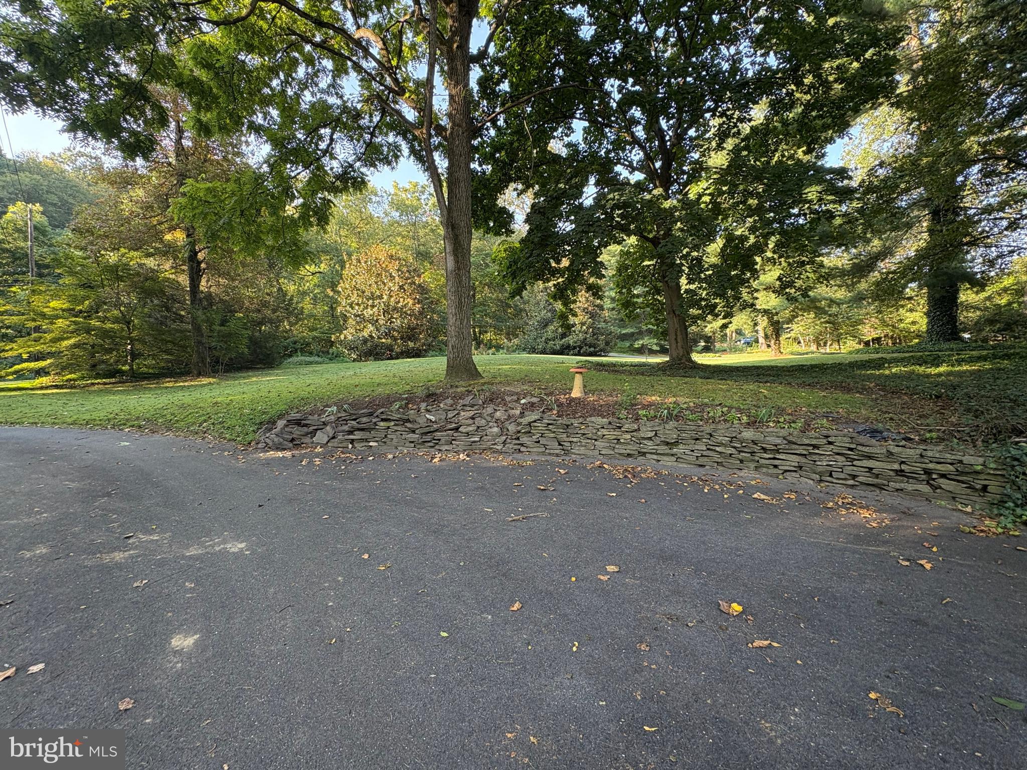 1131 Pennsy Road Pequea, PA 17565 - Photo 9 of 43 a big yard with trees