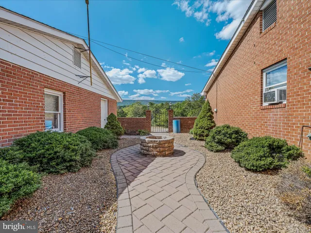 a view of a forest with a street