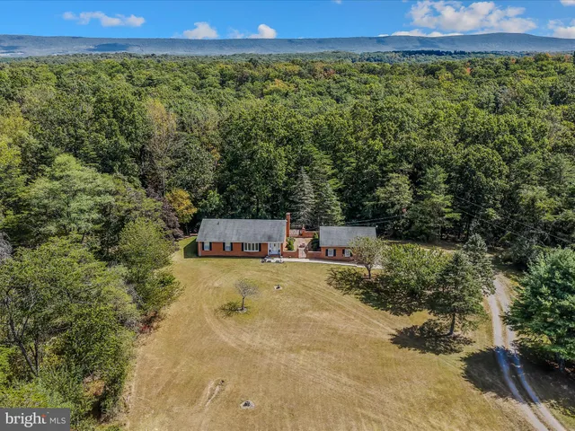 a view of a field with a lush green forest