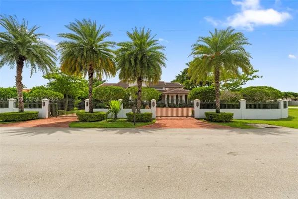 a palm tree sitting in front of a house with a yard and potted plants