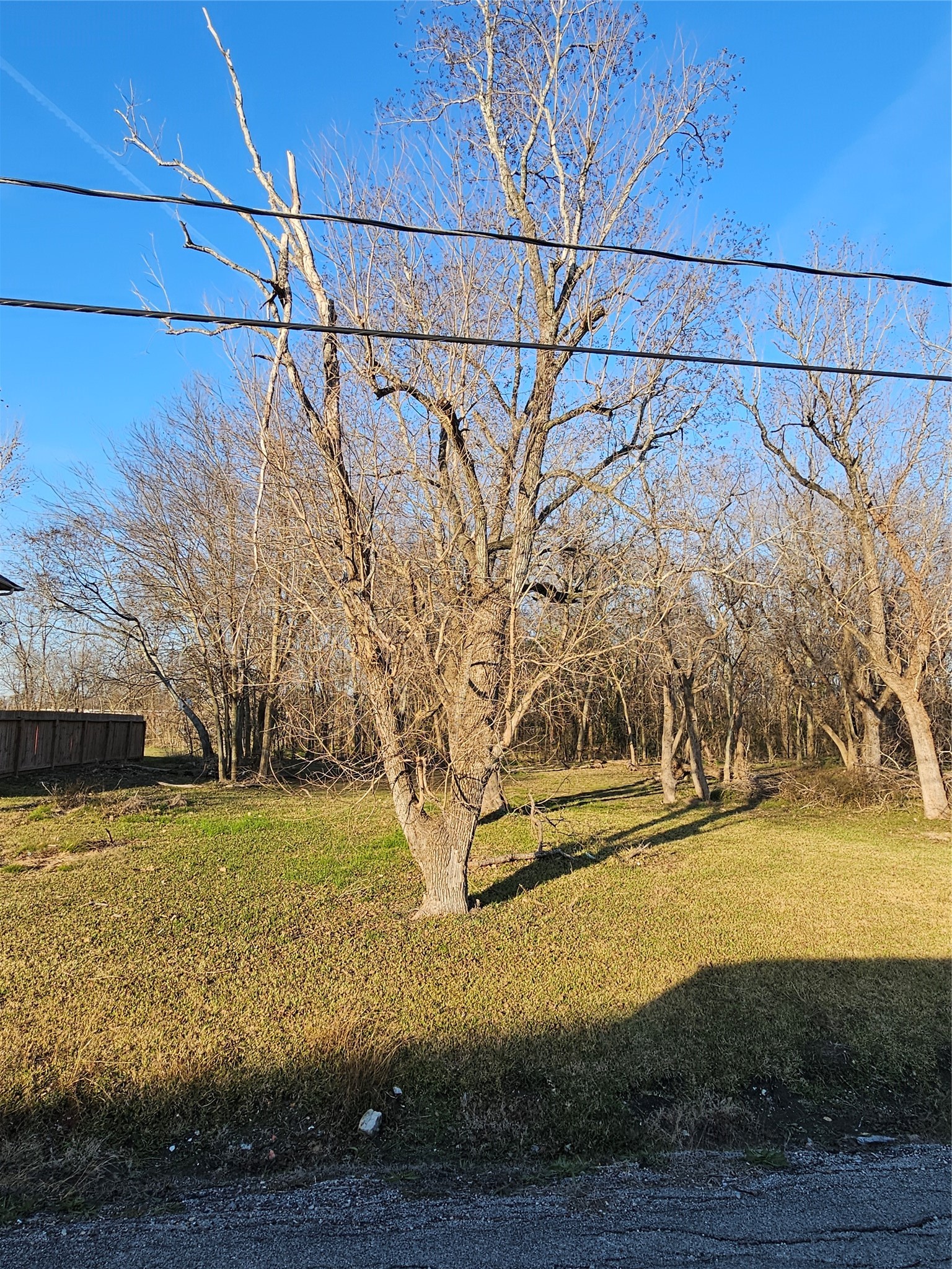 0 Lehall Street Houston, TX 77021 - Photo 4 of 15