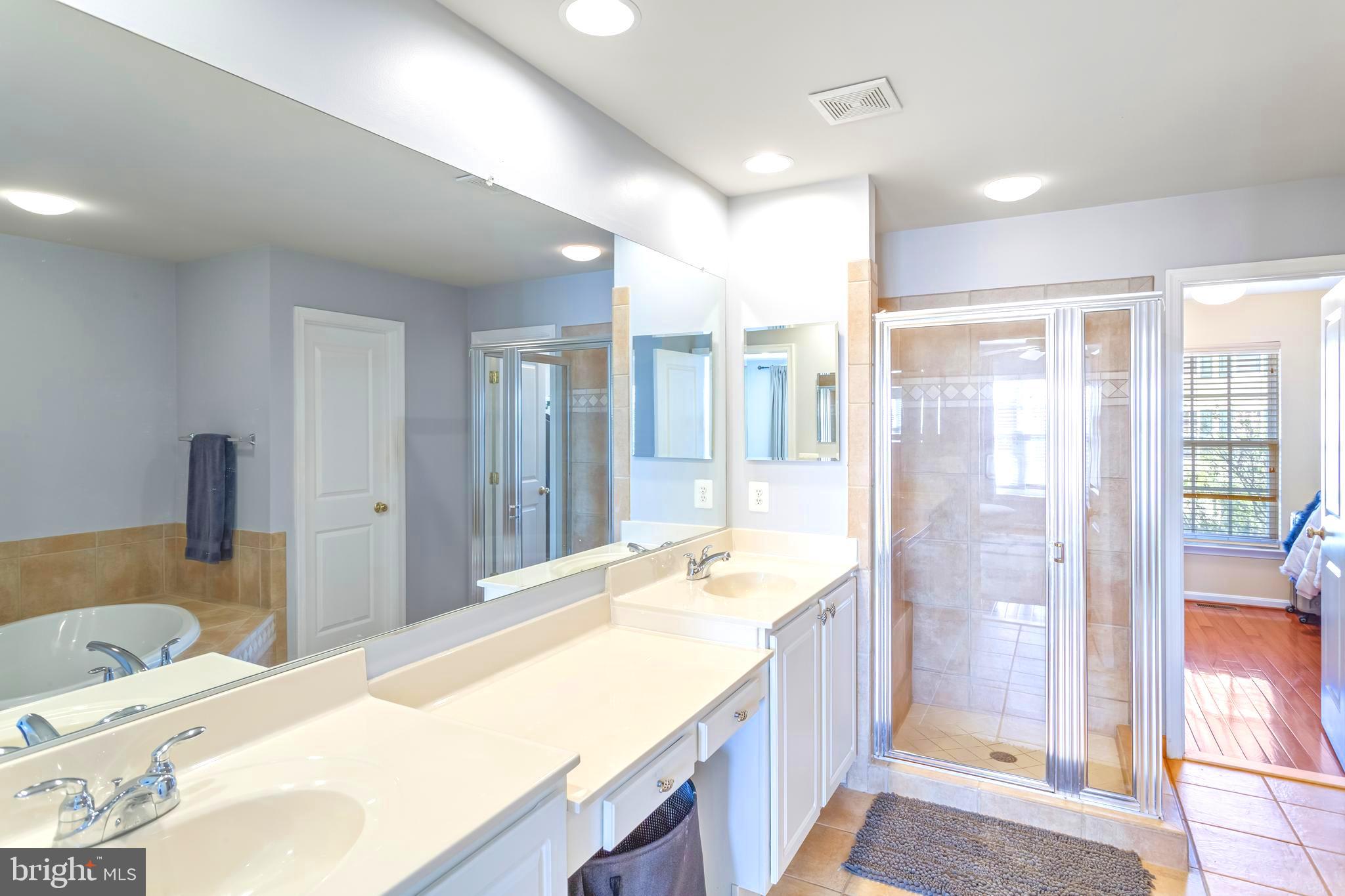 9152 Ribbon Falls Loop Bristow, VA 20136 - Photo 30 of 61 a spacious bathroom with a granite countertop sink and a large mirror