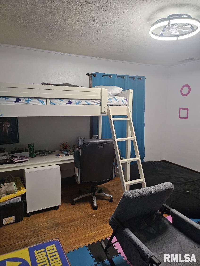 1027 North Institute Place Peoria, IL 61606 - Photo 6 of 14