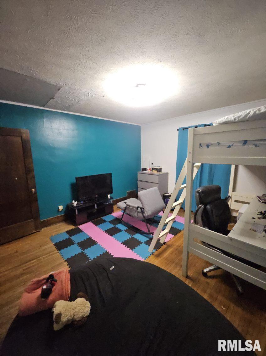 1027 North Institute Place Peoria, IL 61606 - Photo 7 of 14