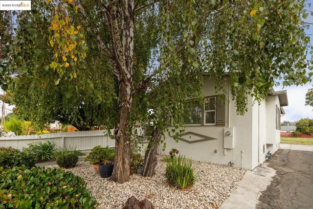 a view of bathroom with a window and a potted plant