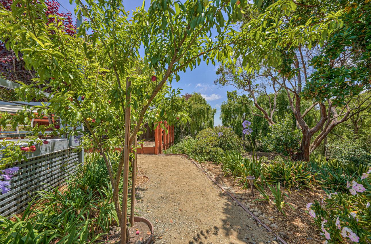 10746 Country Meadows Road Prunedale, CA 93907 - Photo 65 of 75 Gallery Image 65
