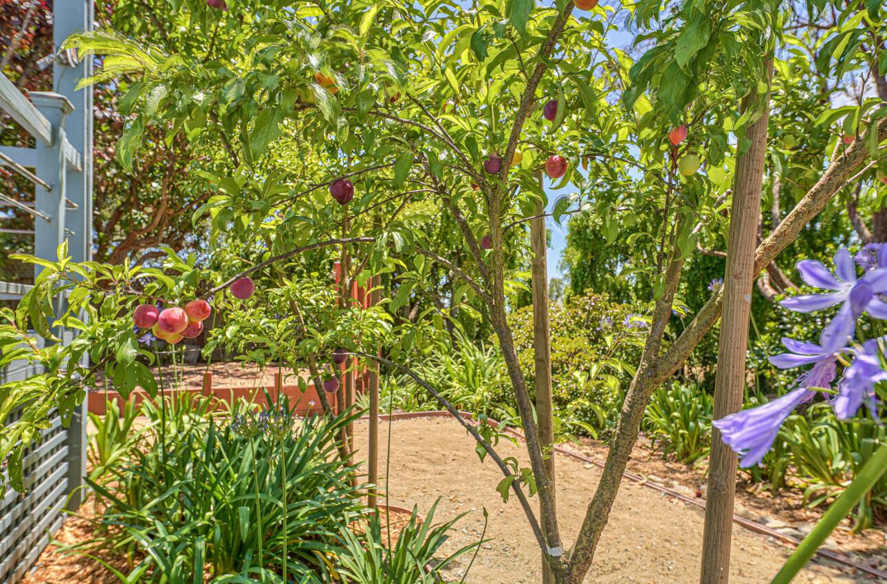 10746 Country Meadows Road Prunedale, CA 93907 - Photo 66 of 75 Gallery Image 66