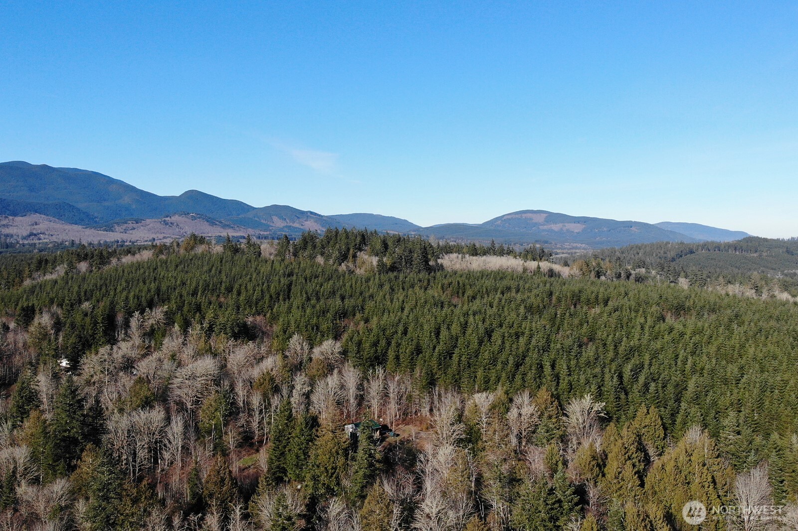 12280 Center Road Quilcene, WA 98376 - Photo 34 of 38