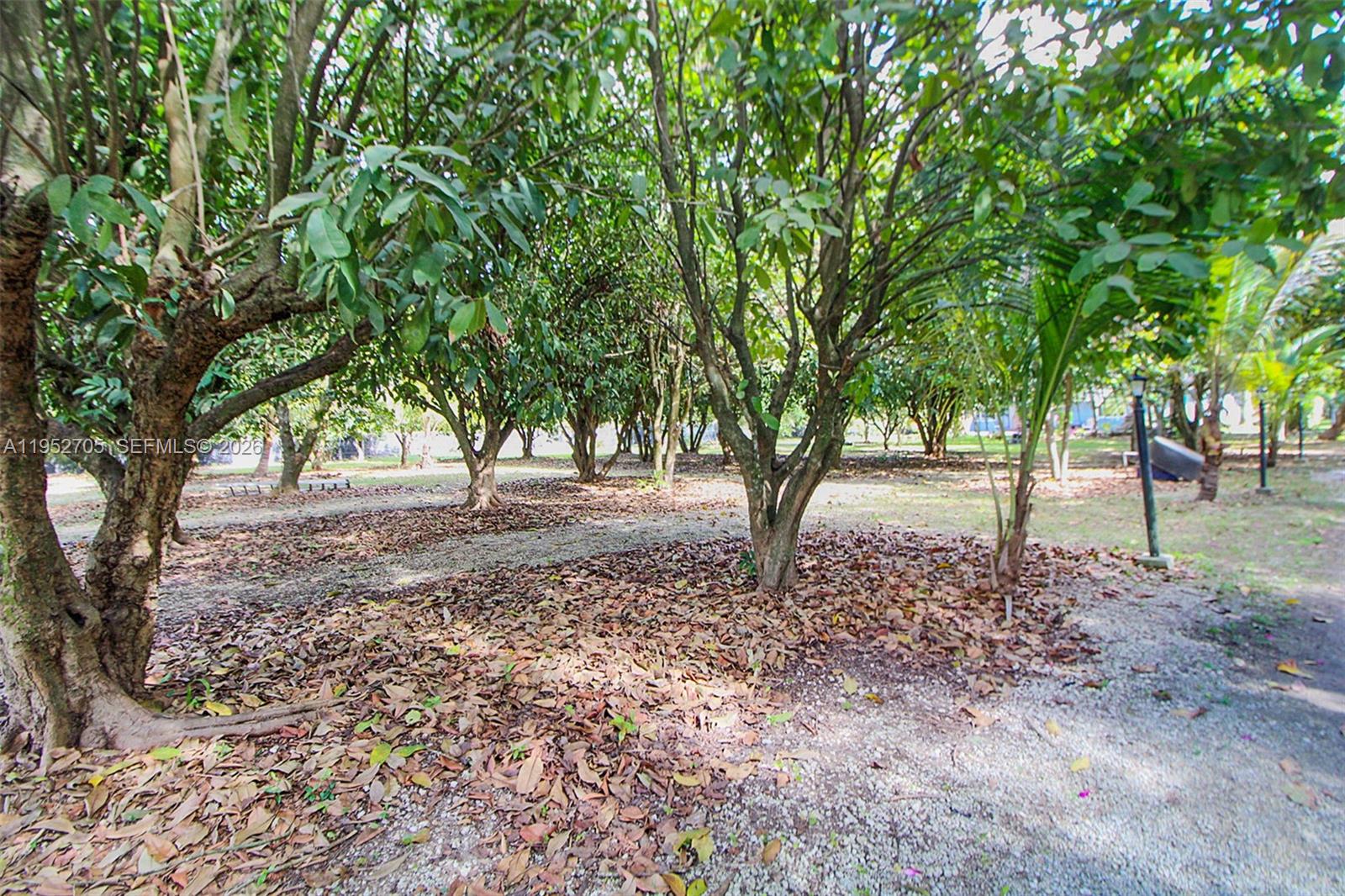 37225 Southwest 214th Avenue Homestead, FL 33034 - Photo 11 of 77 a view of outdoor space with trees