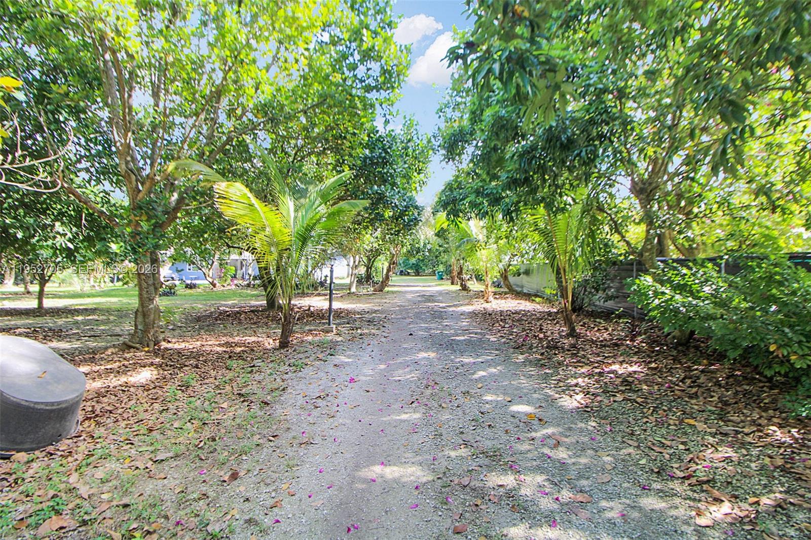 37225 Southwest 214th Avenue Homestead, FL 33034 - Photo 12 of 77 a view of a tree in the middle of a yard
