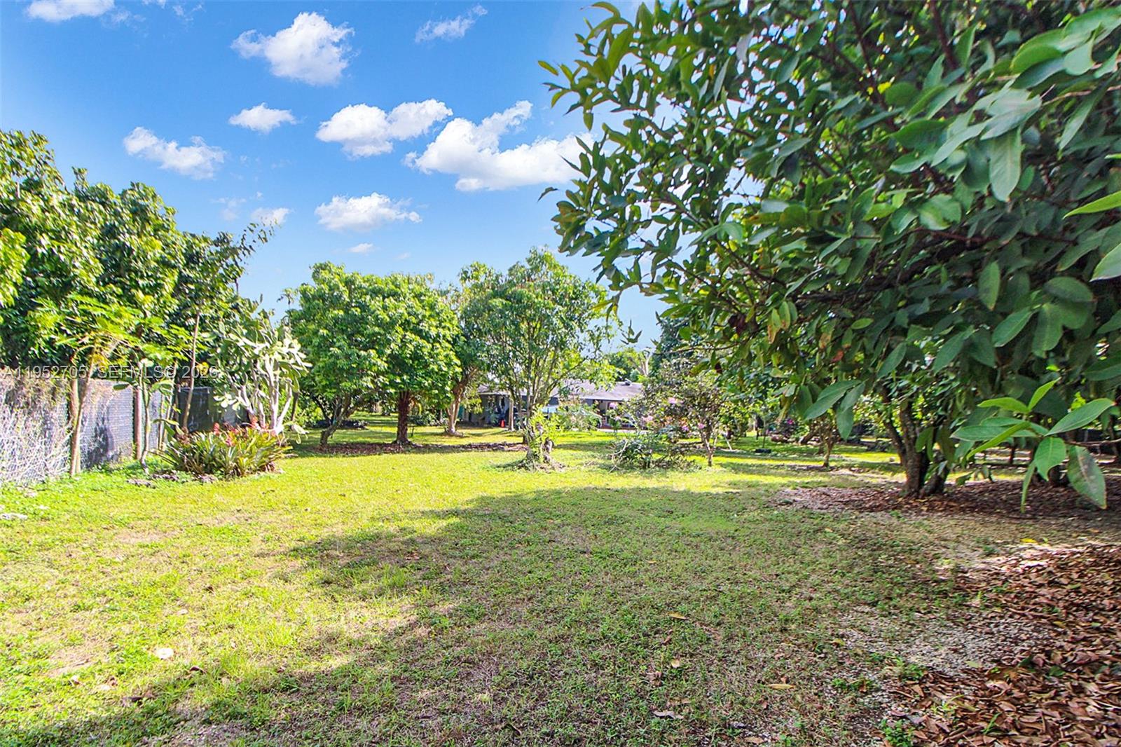 37225 Southwest 214th Avenue Homestead, FL 33034 - Photo 19 of 77 a view of yard with swimming pool and trees in the background