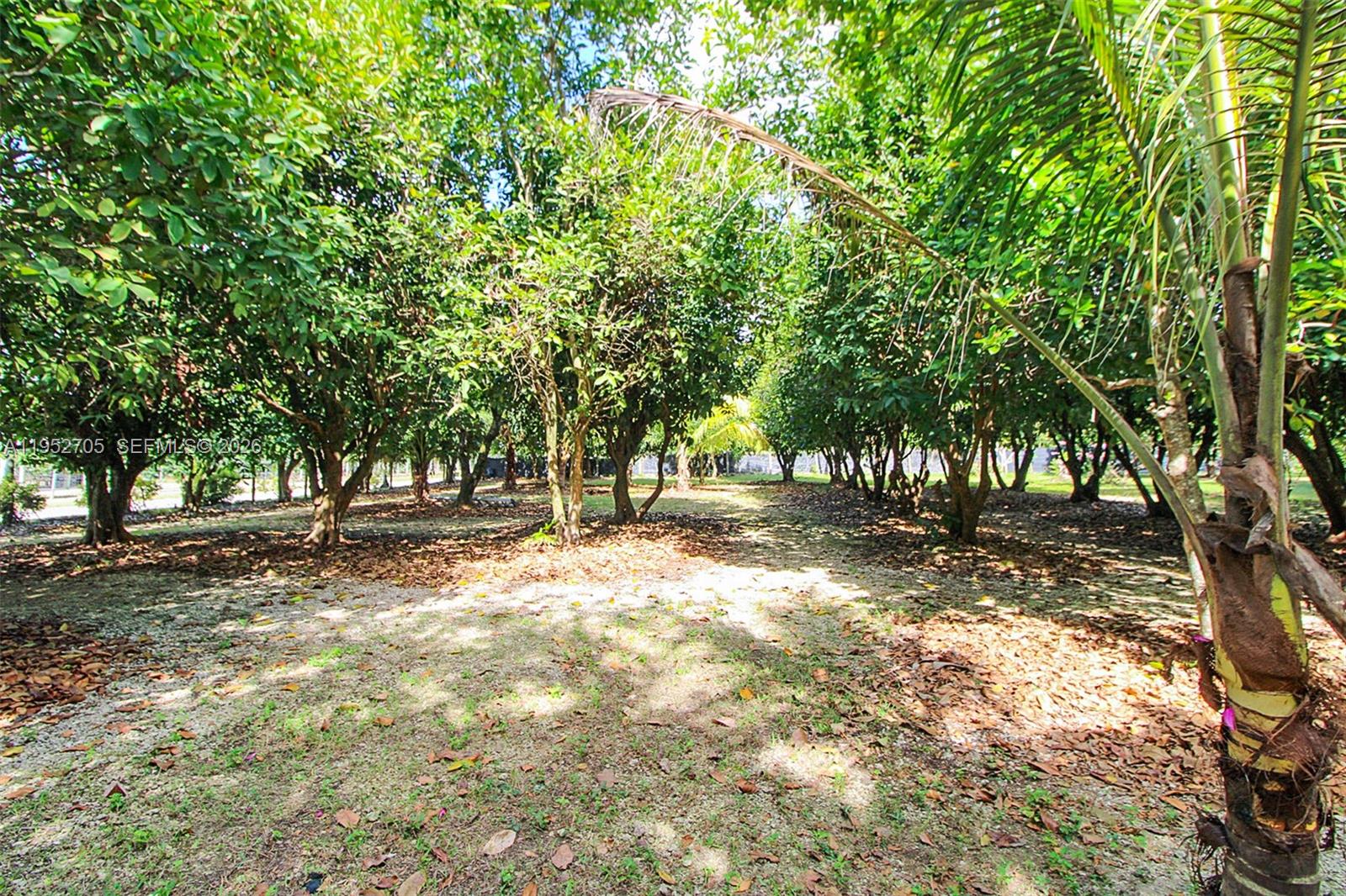 37225 Southwest 214th Avenue Homestead, FL 33034 - Photo 24 of 77