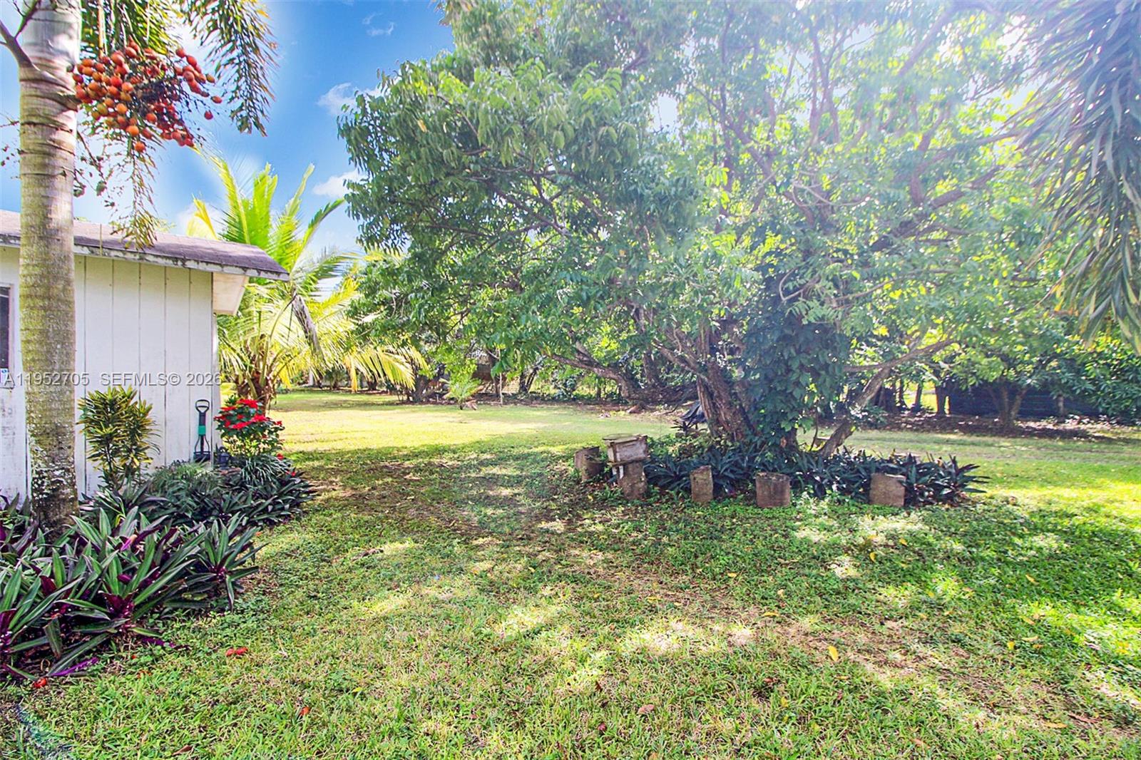 37225 Southwest 214th Avenue Homestead, FL 33034 - Photo 38 of 77 a view of a yard with plants and large trees