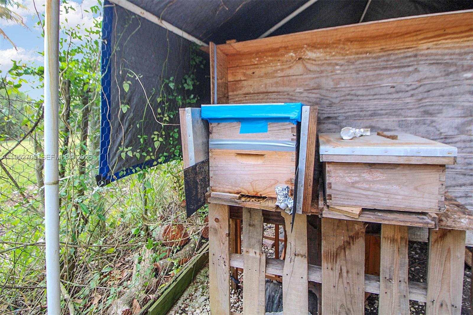37225 Southwest 214th Avenue Homestead, FL 33034 - Photo 46 of 77 Bee Keeping