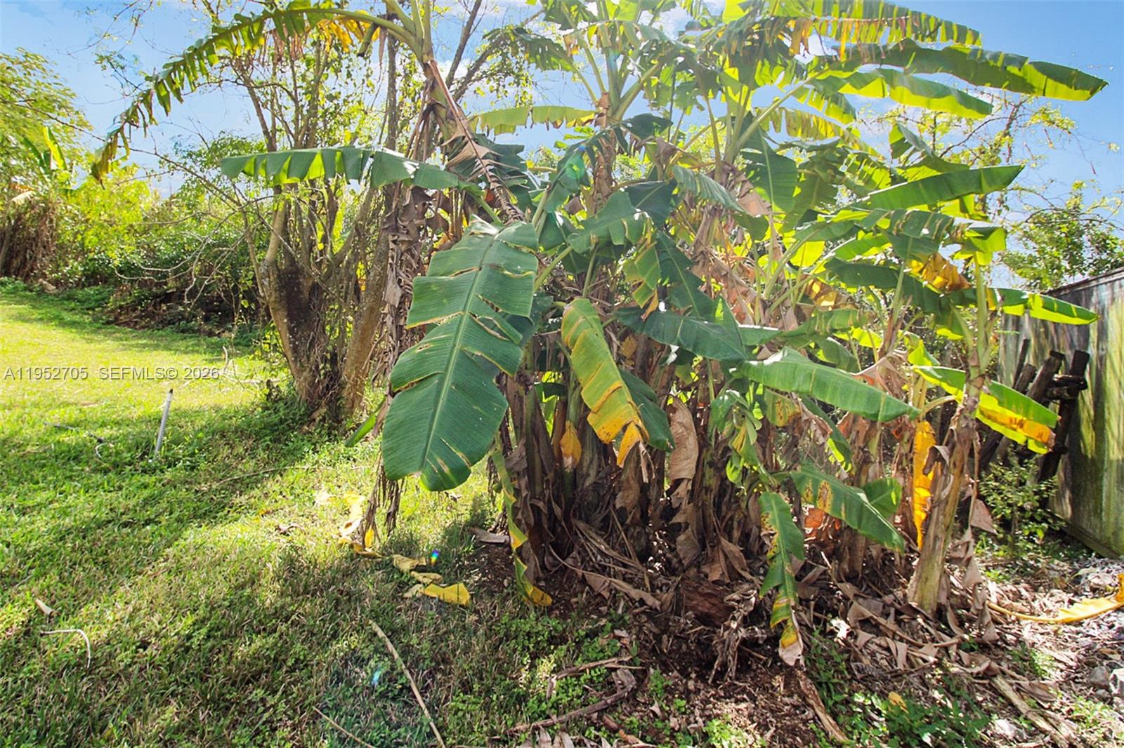 37225 Southwest 214th Avenue Homestead, FL 33034 - Photo 47 of 77