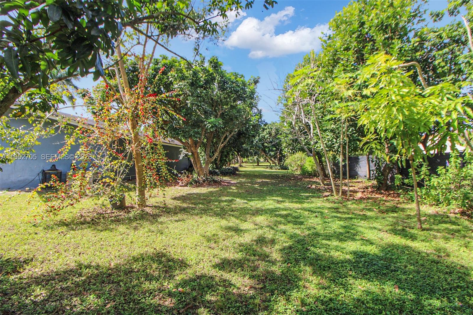 37225 Southwest 214th Avenue Homestead, FL 33034 - Photo 49 of 77 a view of yard with tree