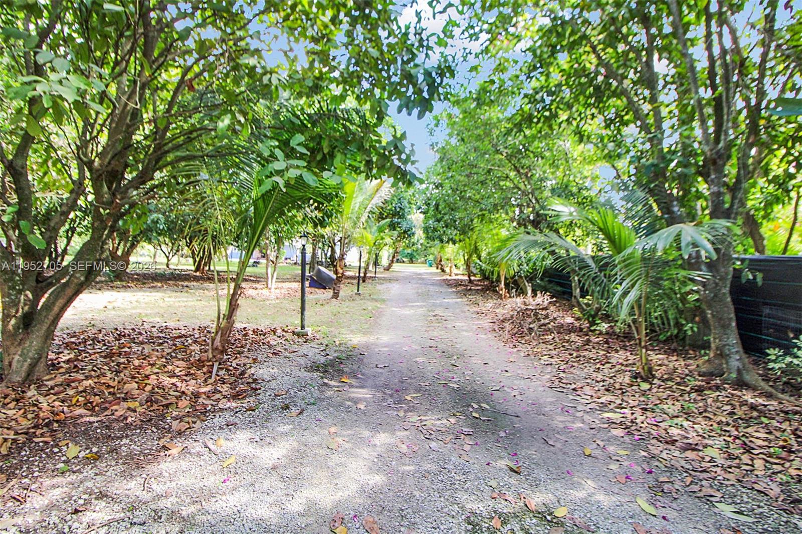 37225 Southwest 214th Avenue Homestead, FL 33034 - Photo 10 of 77 a view of outdoor space with trees