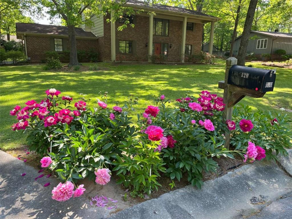 a view of a house with a yard and garden