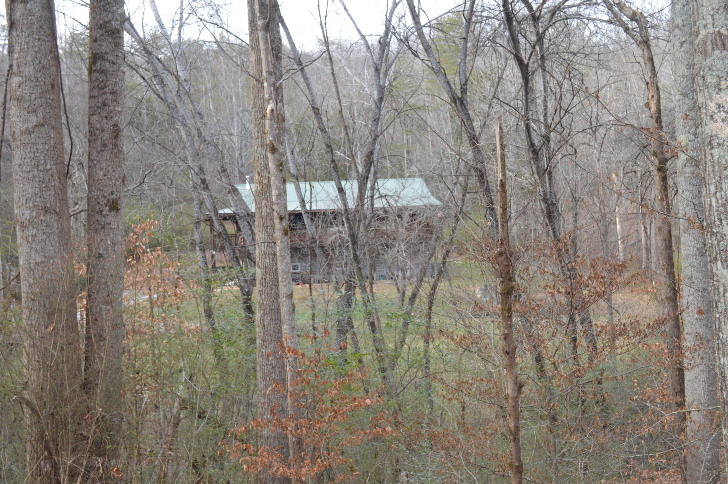 568 Old Spencer Road Pikeville, TN 37367 - Photo 7 of 17 DSC_0030