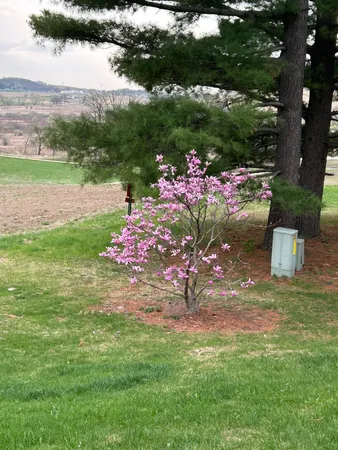 $399,000 | 3542 Valley Ridge Road, Middleton, WI 53562