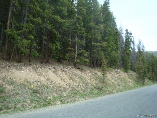 678 Alice Road Idaho Springs, CO 80452 - Photo 2 of 2