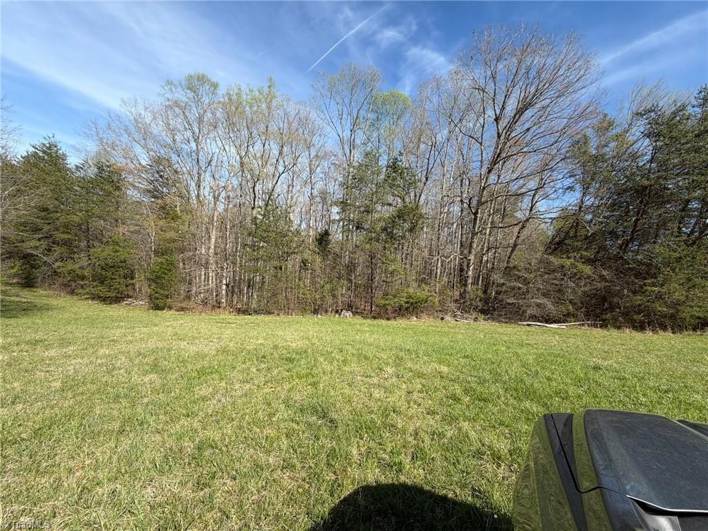 3.04 Ayers Road Pinnacle, NC 27043 - Photo 17 of 35