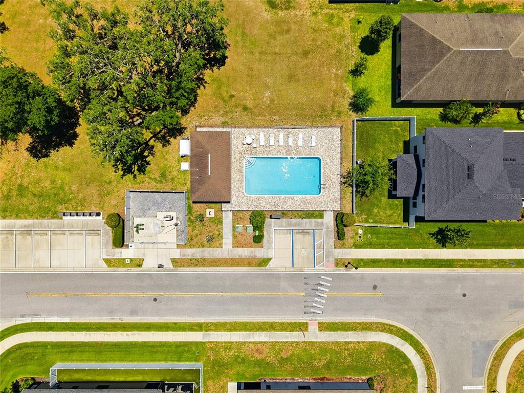 12307 Newt Court New Port Richey, FL 34654 - Photo 68 of 69