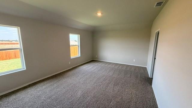 169 MLM Parkway Bridgeport, TX 76426 - Photo 4 of 16 Gallery Image 4